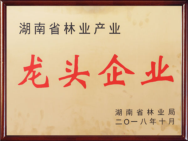 湖南省林業產業龍頭企業